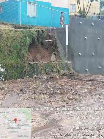 Responden a llamados de ayuda Ayuntamiento de Xalapa - plumas libres