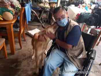 Nos Están Matando/ Ángel Álvaro - plumas libres