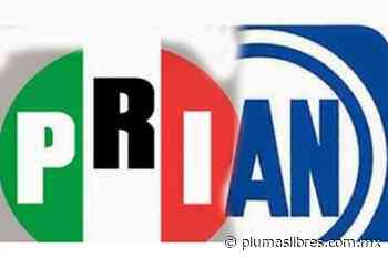 Control de Conciencias: Ultraderecha - plumas libres