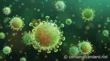 Coronavirus briefs 8/21 – Cortland Standard - cortlandstandard.net - cortlandstandard.net