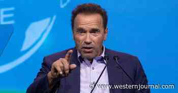 Allow Me, a Fellow Immigrant, to Terminate Schwarzenegger's Disgusting Attacking on Freedom