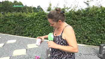 Onbekenden stichten brand op graf van Zonhovenaar die werd doodgestoken in Bocholt - TV Limburg