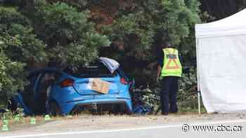B.C. hockey player, 2 other teens killed after vehicle crashes into tree in Surrey