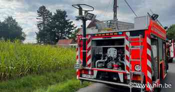 Man zwaargewond na val uit boom bij snoeiwerken in Pittem - Het Laatste Nieuws