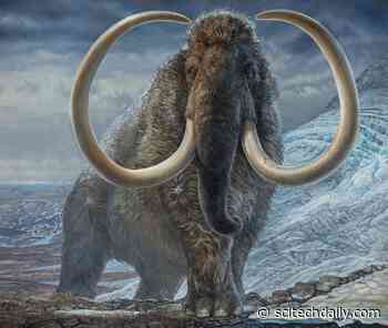 Isotopes Reveal the Incredible Lifetime Journey of an Arctic Woolly Mammoth