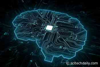 AI Networks Based on Human Brain Connectivity Can Perform Cognitive Tasks