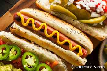 Small Changes in Diet Could Help You Live Much Healthier and More Sustainably