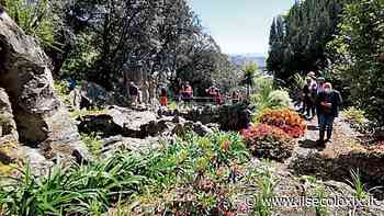 Voltri, i cinghiali devastano Villa Duchessa: “È la quarta volta, il Comune intervenga” - Il Secolo XIX