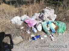 Ardea | 'zozzone'…distratto | butta la spazzatura per strada ma ci lascia dentro un suo documento FOTO - Zazoom Blog