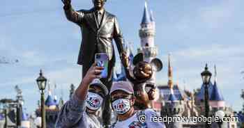 The Recovery Of The Mouse