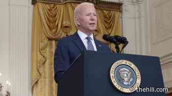 Biden grapples with twin crises