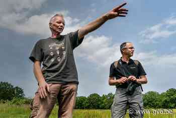 Leidingstraat zou waardevolle natuur genadeloos doorkruisen:... (Lille) - Gazet van Antwerpen