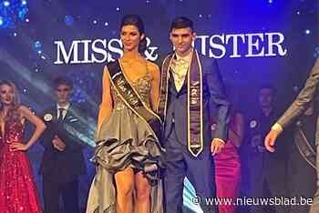 Liam kroont zich tot Mister Media