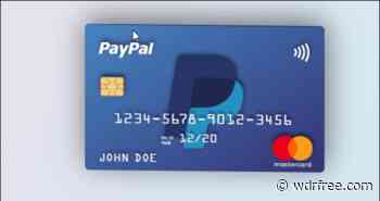 Pure CSS Credit Cards examples