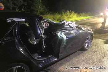 Vijf bomen bijkomend gerooid