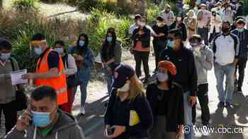 'It's demoralizing': Albertans living in Australia react to return of COVID-19 lockdowns