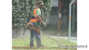 Taglio dell’erba, avanti tutta Ecco date e strade di agosto - LA NAZIONE