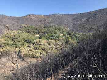 Incendie du Var: comment à quatre et avec l’expérience d’un octogénaire, ils ont sauvé le hameau de Val d’Aubert