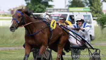 L'hippodrome d'Arras dans les starting gates pour les courses de ce dimanche - L'Avenir de l'Artois