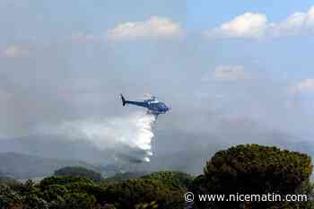 Un homme interpellé après avoir tenté de mettre le feu dans le massif des Maures