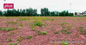 Trebur Trebur: Cricket auf der "Roten Erde" - Echo Online