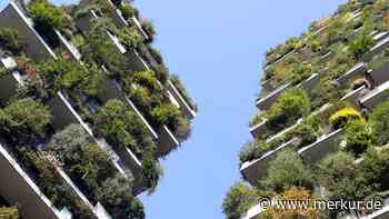 Grüne träumen von Olching als Schwamm - Merkur Online