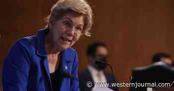 Report: Experts Name New Census Phenomenon After Elizabeth Warren, And She Won't Like the 'Honor' One Bit