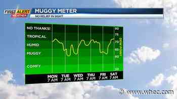 First Alert Weather: Henri brings flooding rain &amp; damaging wind, a few showers locally