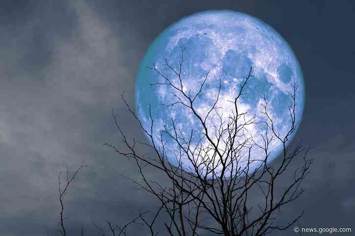 Don’t Miss: Rare Seasonal “Blue Moon” Rises Tonight - SciTechDaily