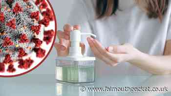 Coronavirus in Cornwall round-up: Sunday, August 22 2021 - Falmouth Packet