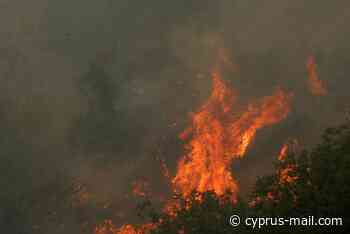 Cyprus on red alert for forest fires on Monday | Cyprus Mail - Cyprus Mail