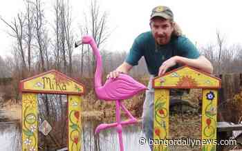 The man who ran Piscataquis County's Enchanted Forest can't wait to get back to the woods - Bangor Daily News