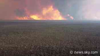 Massive wildfires devastate protected area of Bolivian forest - Sky News