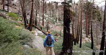 California burning: Is it time to rethink forest management? - Los Angeles Times