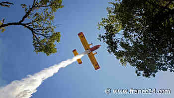 Forest fire in Morocco's north under control: official - FRANCE 24