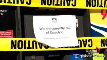 Supply shortages at some Calgary Petro-Canada stations close pumps | Watch News Videos Online - Globalnews.ca