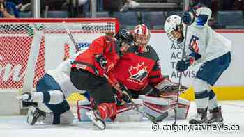 No fans in the stands for women's world championship in Calgary: Hockey Canada - CTV Toronto