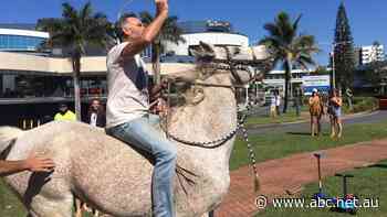 Queensland police investigate actions of 'reckless' horseman at border protest