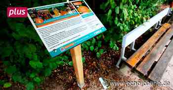 Bischofsheim Erste Engagement-Schilder in Bischofsheim bereits zerstört - Echo Online