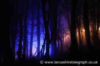 Rivington Terraced Garden's spectacular Festival of Light returns this year
