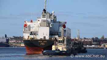 More than half of stricken ship's crew report respiratory symptoms as it docks in Perth