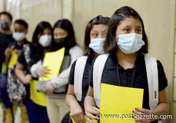 'Keeping kids healthy is my area': Pediatricians pitch masks in schools, but not everyone wants to listen