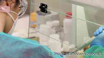 Ausl, scatta l’operazione “settembre”. Priorità: contagi, tracciamento, giovani - La Gazzetta di Modena