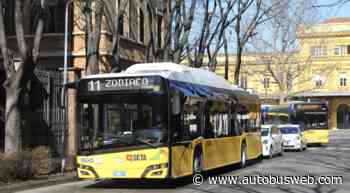 Modena, nuova filovia per via Canaletto in versione 'boulevard' - autobusweb
