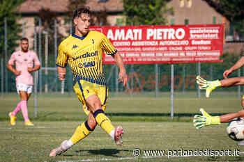 Modena FC - Resto del Carlino - Lieve infortunio per Scarsella. Duca con Gerli e l'ex Di Paola - Parlandodisport.it - Parlando di Sport