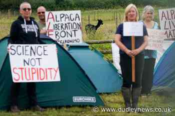 Owner of condemned alpaca Geronimo praises 'wonderful' support - Dudley News