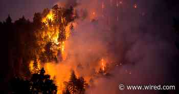 How to Prepare for a Disaster, Emotionally and Mentally