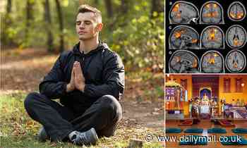 Meditation: Ten minutes a day causes changes in ability to switch between states of consciousness