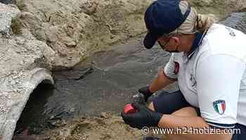 Formia, scoperto sversamento fognario in mare: scatta una denuncia - h24 notizie
