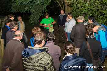 Nacht van de Vleermuis wil reputatie van fladderende nachtdieren in ere herstellen